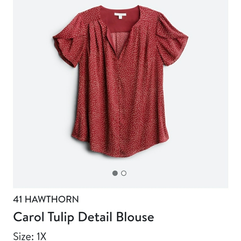 Stitchfix 1x - 41 Hawthorne shirt